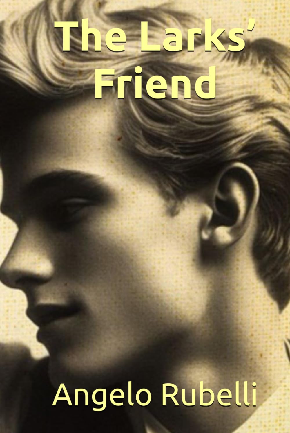 THE LARKS’ FRIEND (UK edition): A coming-of-age MM novel