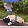 yrenoer Dog Socks & Boots - Waterproof Anti-Licking Paw Protectors with Non-Slip Bottom, Post-Surgery Recovery Sleeves for Wound Protection (Grey, M)