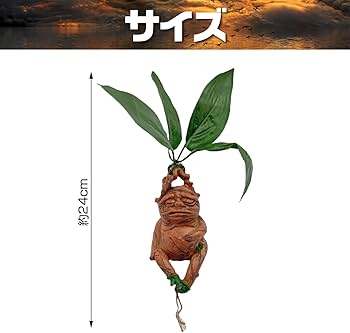 Amazon.co.jp: IMPACTオンライン マンドレイク マンドラゴラ 面白い
