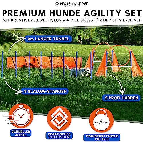 PfotenWunder® XXL-Profi-Agility Set Hunde Groß + 3 Meter-Tunnel + 21 Min. HUNDESCHULE -6 Slalomstangen, für kleine & große Hunde-Training Sport Cavaletti Parcour Steckhürdenset Zubehör Hürden