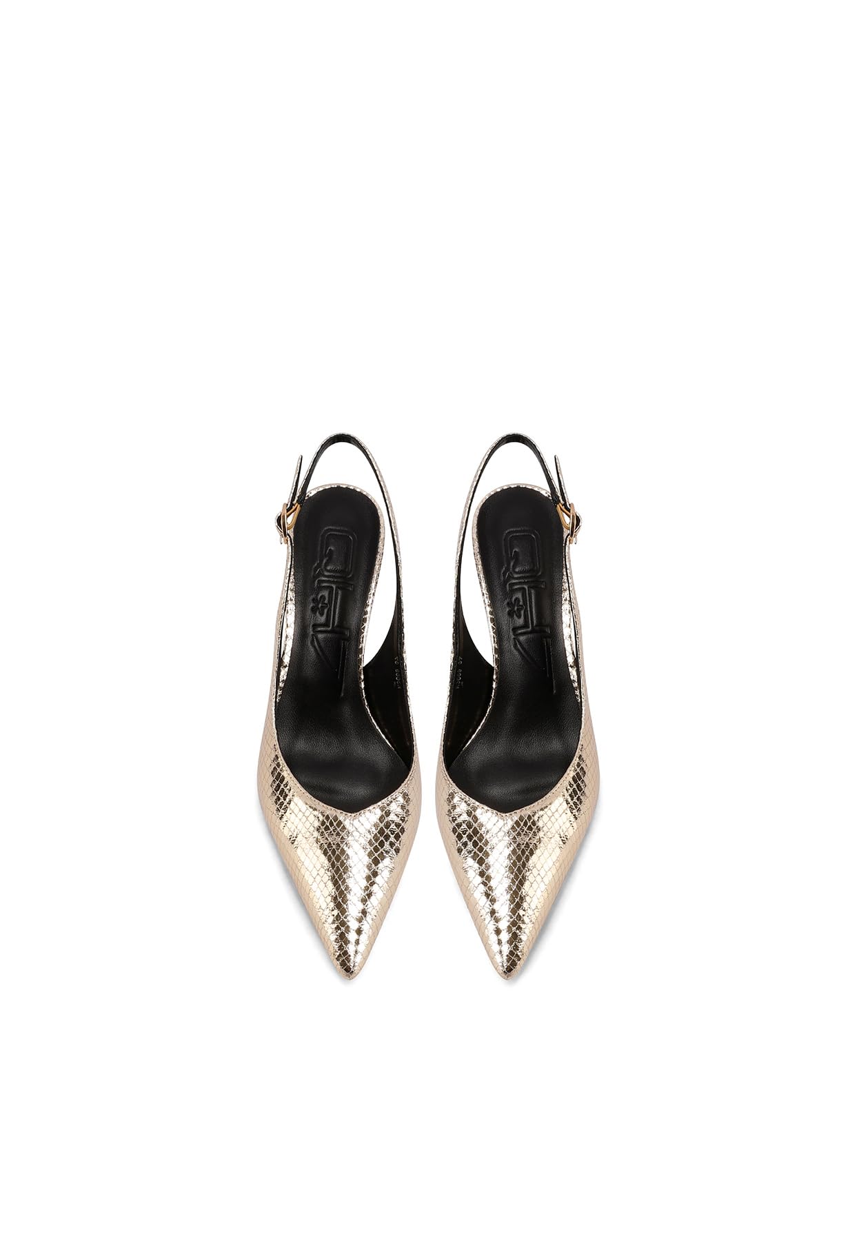 QUEEN HELENA Décolleté Slingback Scarpe Eleganti a Punta Chiusa Donna K3669
