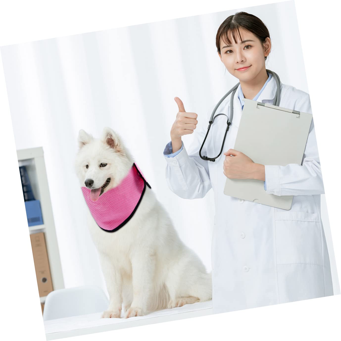 Mipcase 6stücke Hundekühlhalstuch Sommer Kühlschal Für Hunde Und Katzen Leicht Und Atmungsaktiv Für Im Freien Blaues Und Pinkes Punktdesign Für Heiße Tage