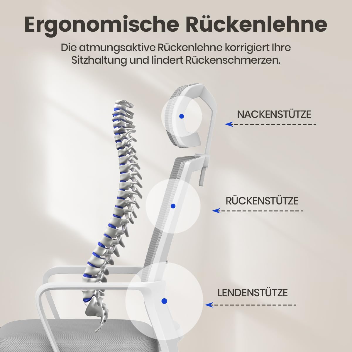 naspaluro Schreibtischstuhl Ergonomisch mit Verstellbarer Kopfstütze | Bürostuhl mit Atmungsaktivem Netzrückenlehne, Höhenverstellbar und 360° Drehbar Computerstuhl, für Arbeitszimmer, Hellgrau