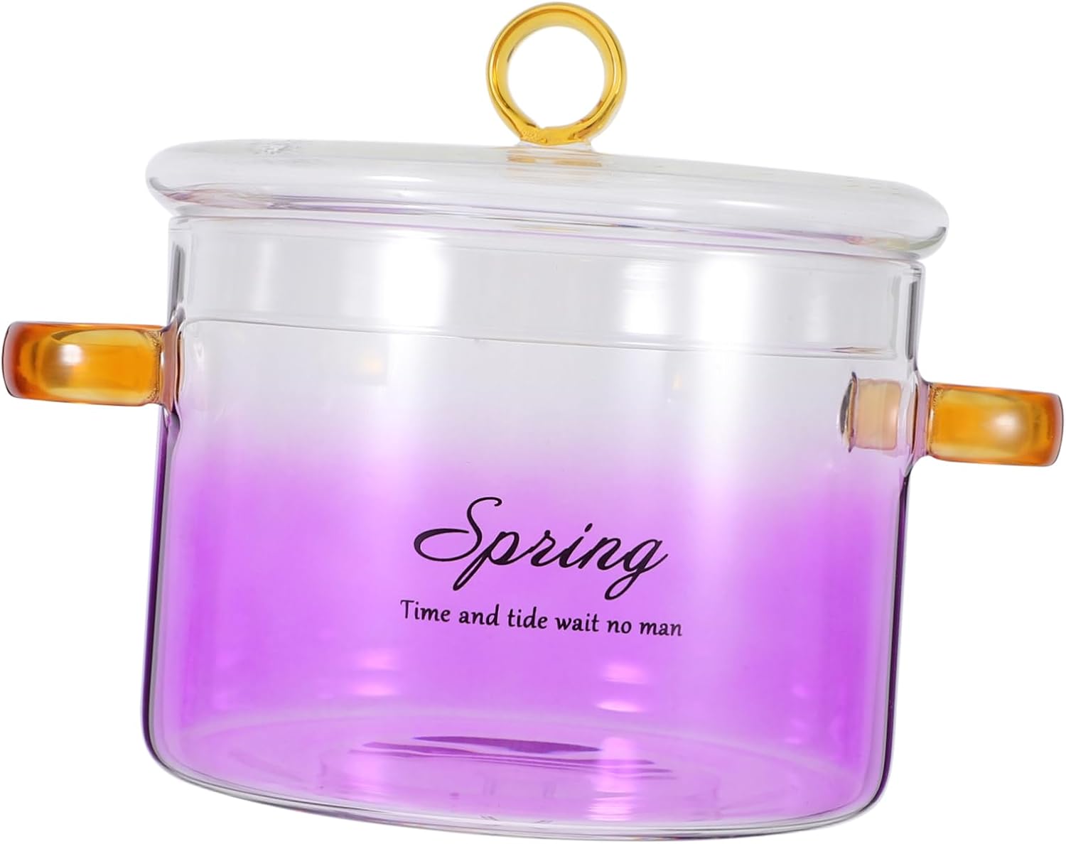 High Borosilicate Glass Stewpot with Lid Heat Resistant Clear Cooking Pot for Ramen Noodles Milk and Sauces Capacity for Stovetop Use