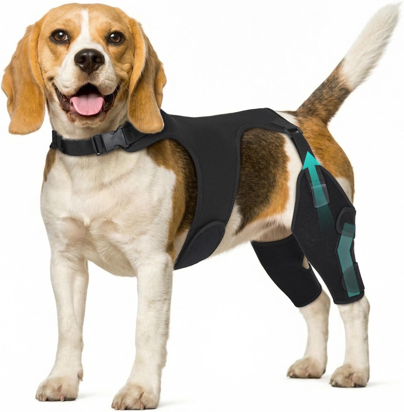 Dog Knee Braces for Back Leg, Adjustable Leg Brace with 2 Stabilizers, Hip Support to Reduces Pain, Ligament Injuries, ACL CCL & Luxating Patella for Small Medium Large Dogs, S