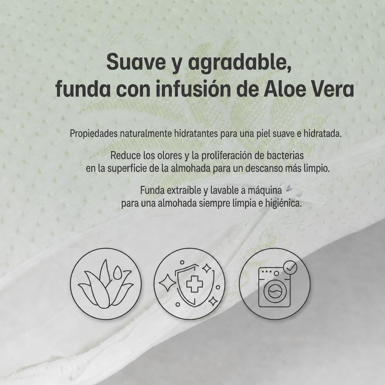 BCS Home&Sleep Cojín Antiarrugas Para Mujeres Y Hombres, Almohada De Belleza Con Funda De Aloe Vera, 55 X 35 Cm, Blanco | Almohada antiedad para mujeres y hombres, para mujeres y hombres, almohada de belleza con funda de aloe vera