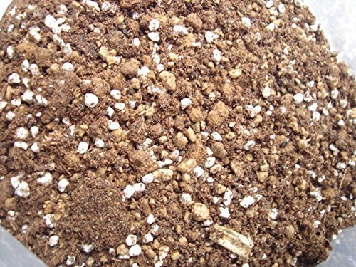 プロも使用 多肉植物の土 肥料入り 業務用 約4L