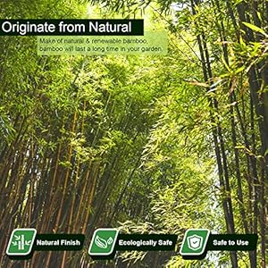 15pcs 34 D Thicker Heavy Duty Bamboo Stakes 7FT Plant Stakes Natural Garden Stakes for Tomato Bean FlowersTrees Potted and Climbing Plant Support