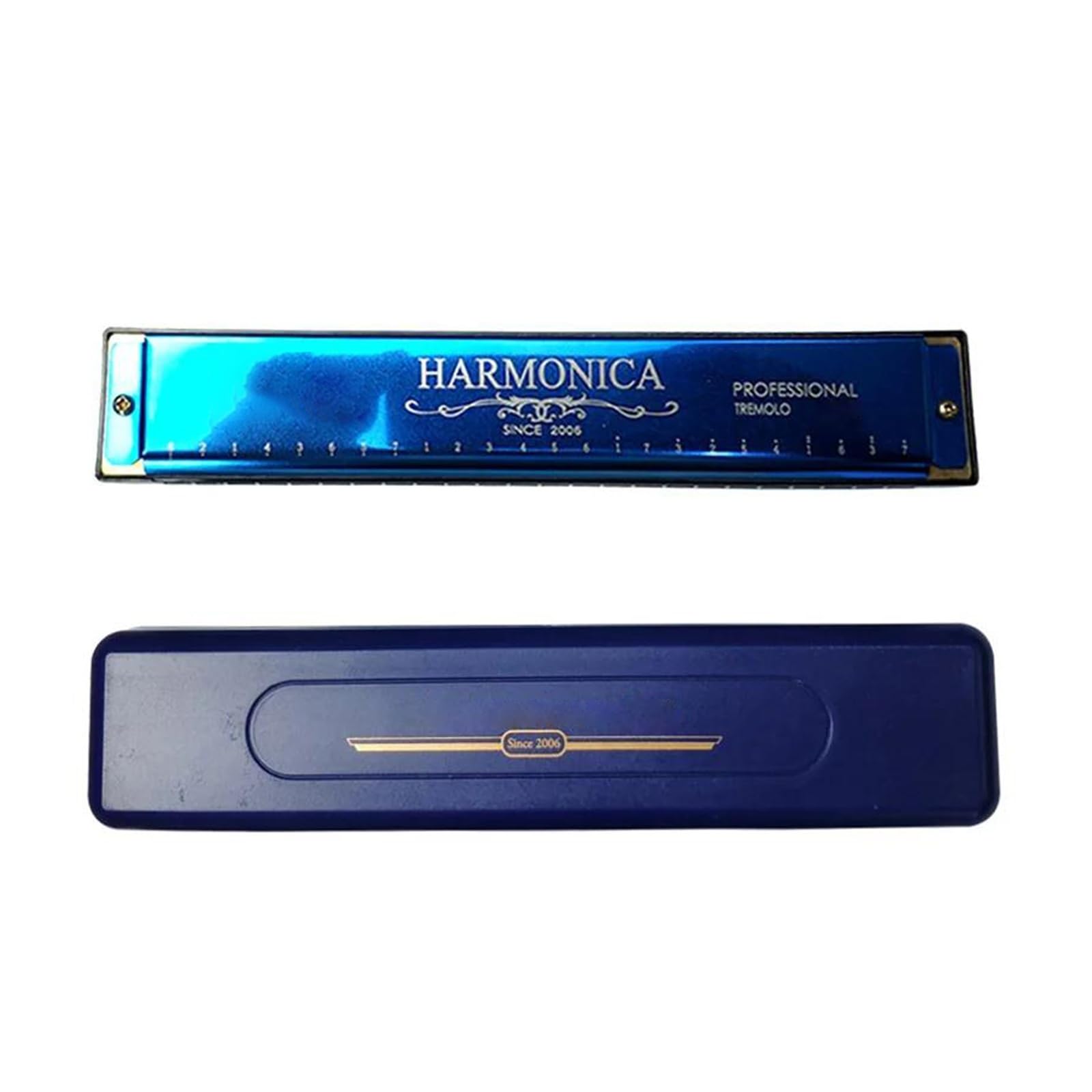 Armonica Tremolo Armonica Blues Key C 24 fori Bocca per arpa con custodia Strumento musicale professionale