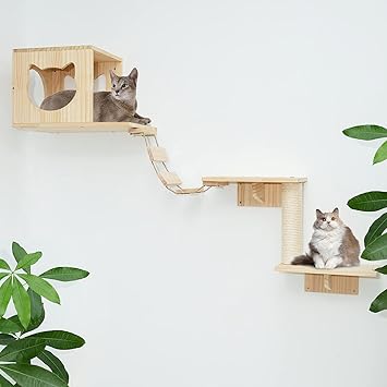 Wall Wood Cat Climber Set 5pcs - 1 Cat Condos Houses & 2 Cat Wall Shelves & 1 Ladders & 1 Sisal Cat Scratching Post, Cat Wall-Mounted Playing Climber