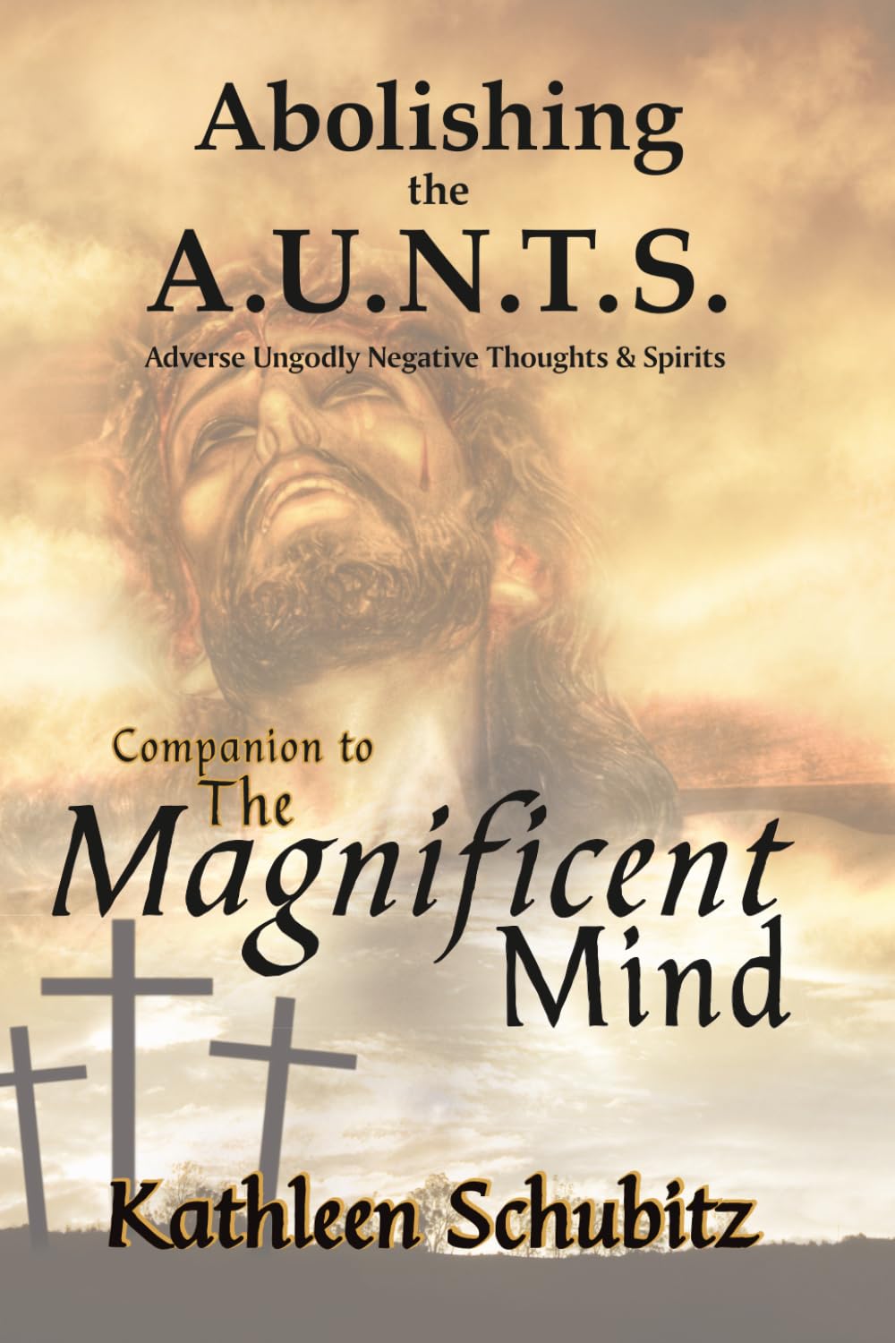 Abolishing the A.U.N.T.s: Companion to The Magnificent Mind (Optimize Brain Health with The Magnificent Mind)