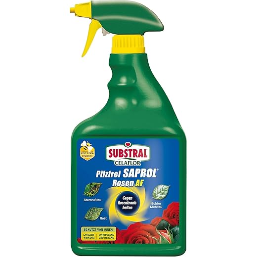 Substral Celaflor Pilzfrei Saprol Rosen AF, anwendungsfertiges Spray gegen Pilzkrankeiten an Rosen, 750 ml