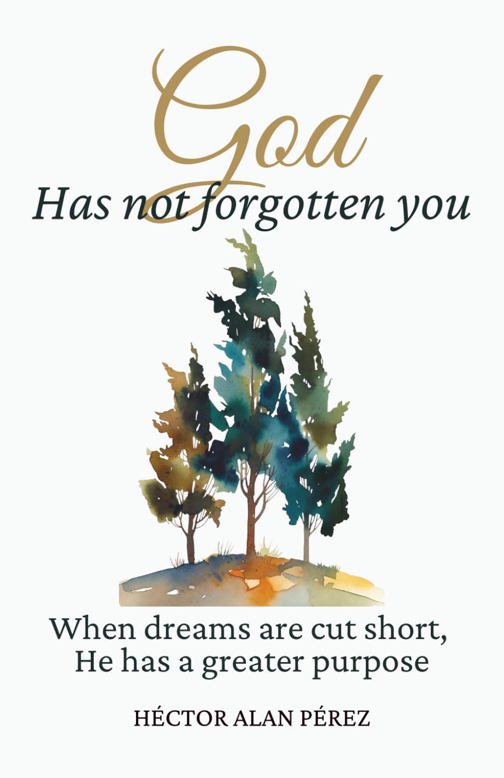 God Has Not Forgotten You: When Your Dreams Are Cut Down, He Has a Better Purpose