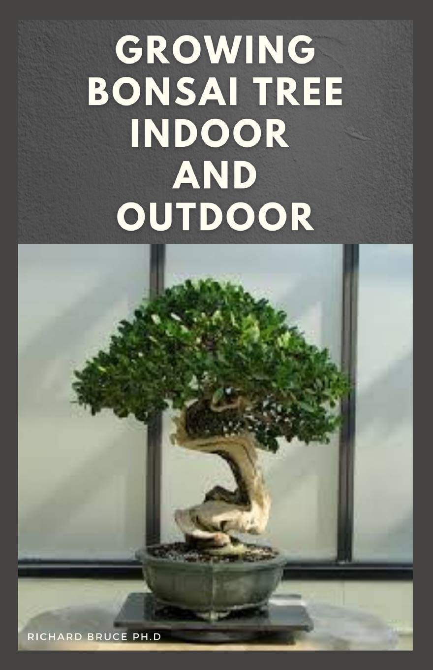 Buy Growing Bonsai Tree Indoor and Outdoor Step By Step Guide To