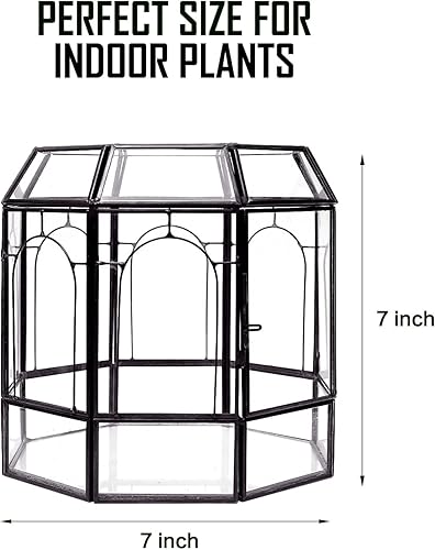 Miniatura 3 de REDHUGO Terrario de vidrio grande hecho a mano, caja de exhibición de centro de mesa, contenedores de macetas de regalo, terrarios de interior, casa
