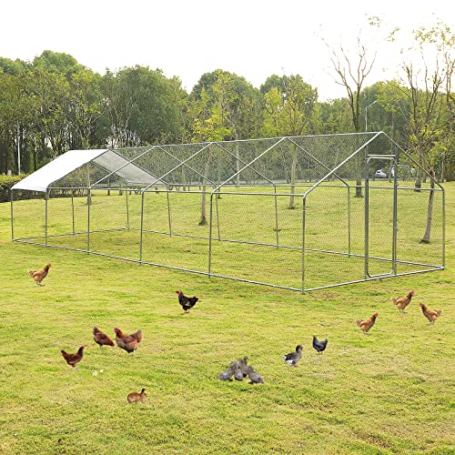 Top 5 Best Chicken Runs of (2022)