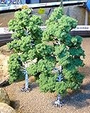 wunder schön 6-STÜCK Modellbau Bäume LAUBBÄUME Birke mit Fuß 18cm Hoch Wunder SCHÖN