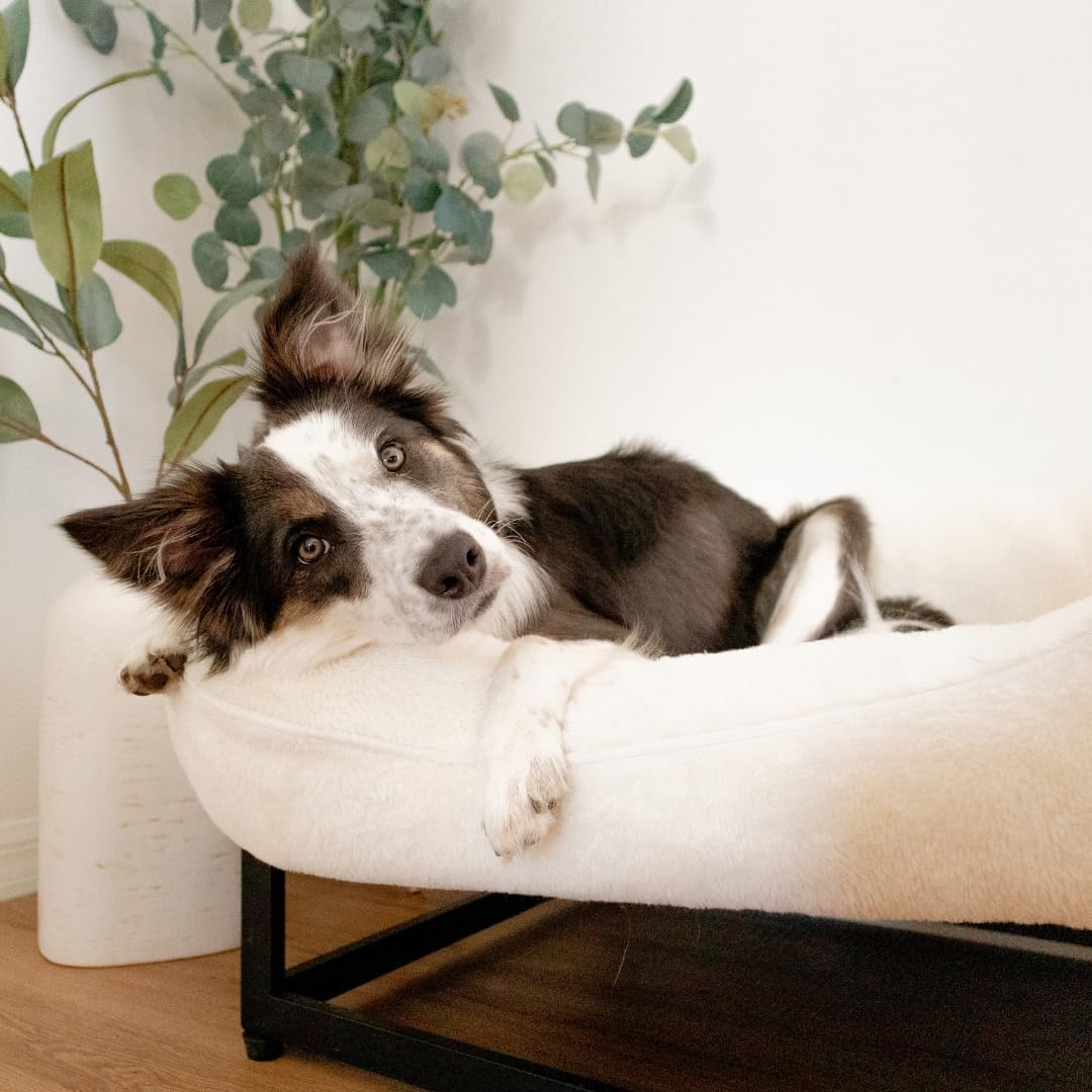 FUZI Elevated Dog Bed Large with Extra Cover, Luxury Raised Dog Beds, Removable and Machine Washable Bed Cover, Indoor/Outdoor Orthopedic Pet Bed, Large 35.6x28.5x18 Soft White and Black Base - image 7
