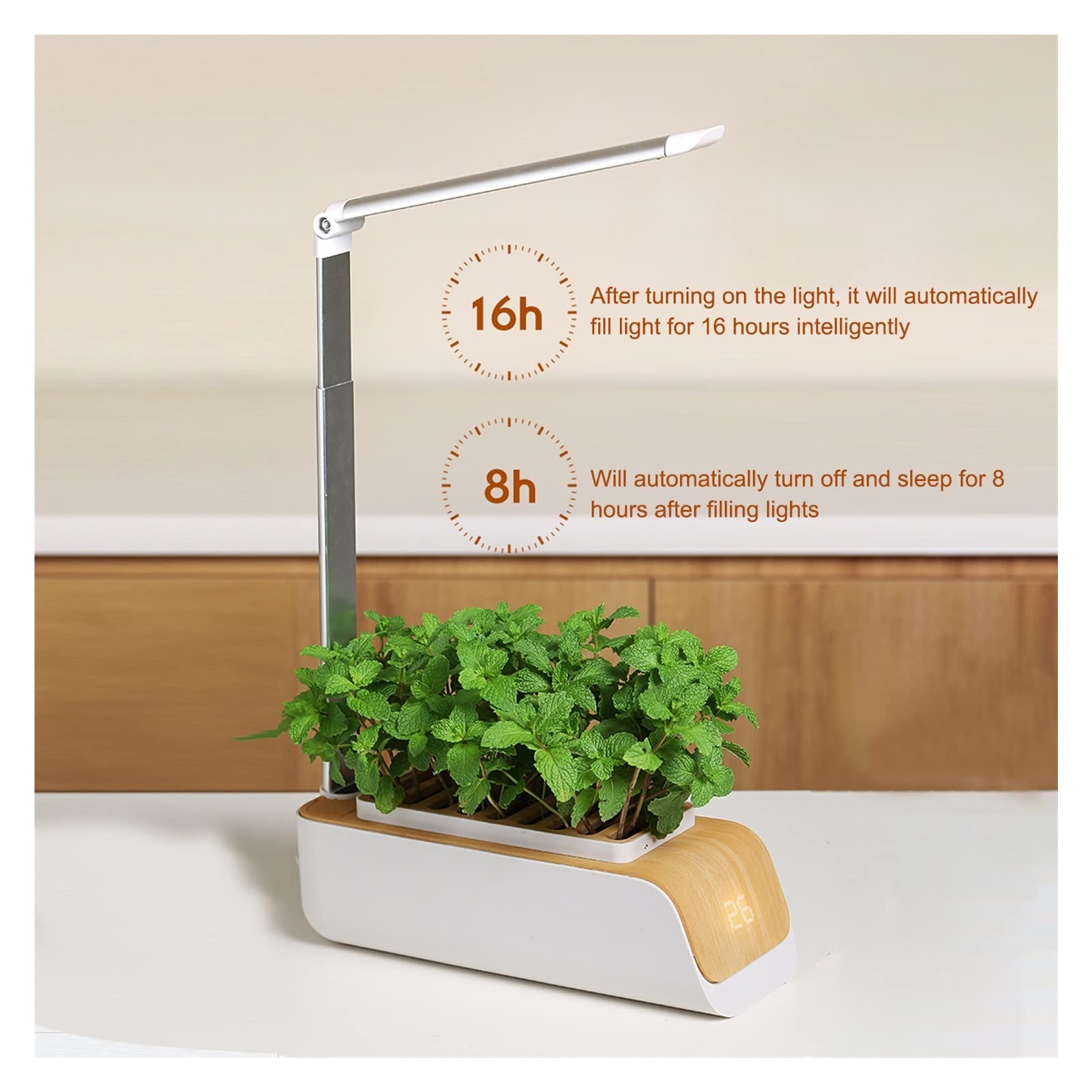 Kit de sistema de cultivo hidropónico, Caja de hidropónico, luz de cultivo intelinte de espectro completo, cultivo sin suelo, macetero de jardín interior, lámpara de cultivo, macetas de vivero para el