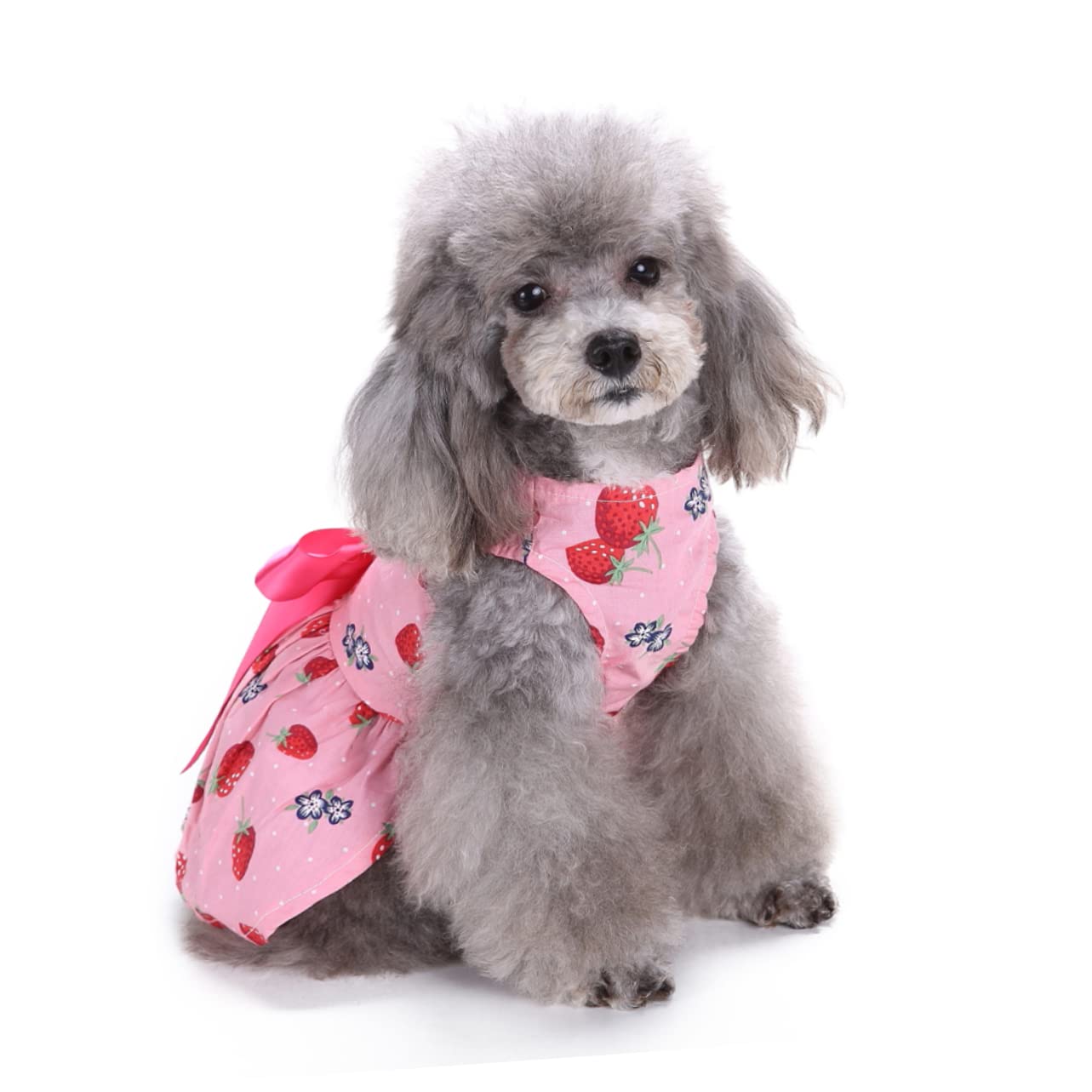 BESPORTBLE 3stücke Pet Dog Dress Mit Schleife Ärmelloses Kleid Für Hunde Charmantes Design Erdbeergröße Für Alltag Feiertage Und Fotoshootings