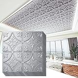 Art3d Drop Ceiling Tiles 2x2, Glue-up Ceiling Panel, Fancy Classic Style, Argent Silver