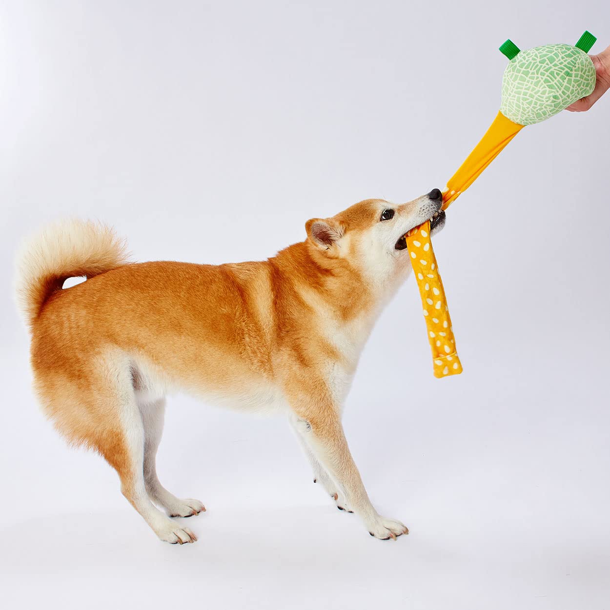 Amazon | ペティオ (Petio) 犬用おもちゃ びよ~ん! フルーツ メロン