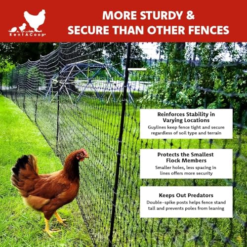 RentACoop Non-Electric Black Boundary Fence 48" x100' - Suitable for Chickens or Other Animals by RentACoop - Image 3