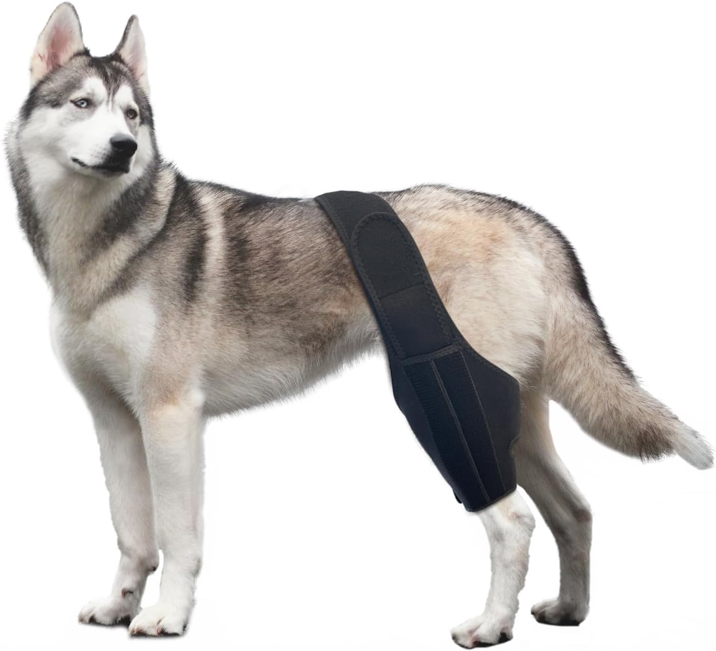 Dog Knee Brace Leg Braces - Dog Canine Knee Stifle Brace Wrap Dog Knee Brace for Torn ACL Hind Leg Joint Pain Muscle Sore Pet Brace Reduces Pain and Inflammation (L)