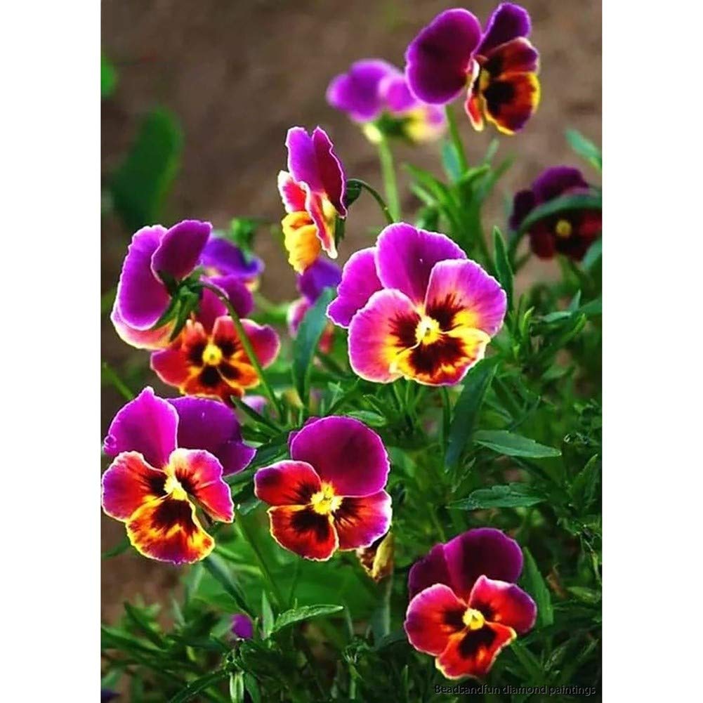 Wowdecor Flowers 5D Diamond Painting Kits, Horned Pansy Full Drill Diy Diamond Art Cross Stitch Paint By Numbers