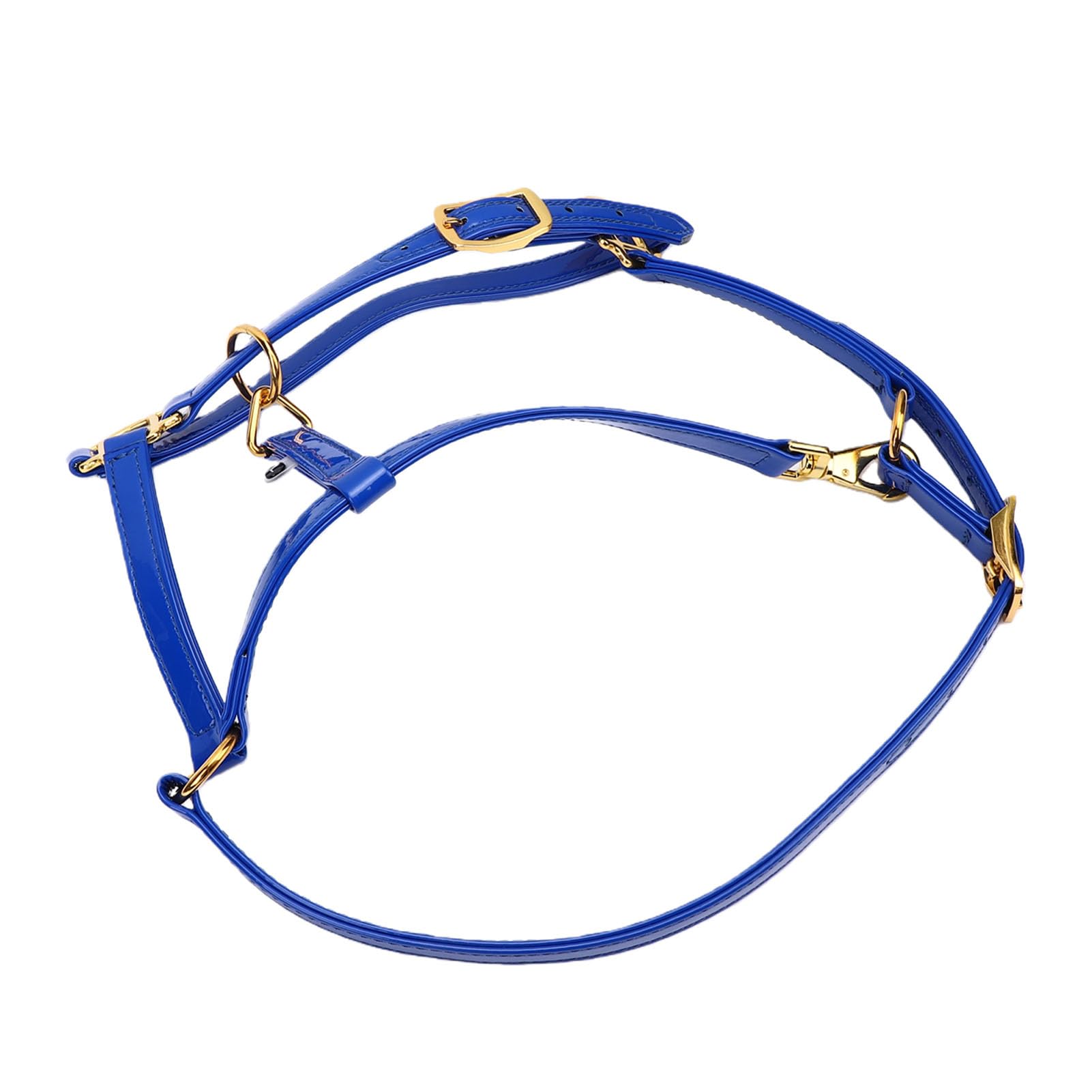 20mm Cavezza per Cavallo, Pelle Smaltata a Doppio Strato, | Finimenti per cavallo impermeabili, testiera facile da pulire, hardware placcato in oro per passeggiate su pista, cavezza