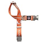Littlearth NFL Miami Dolphins Pet Premium Collar, Team Color, Large