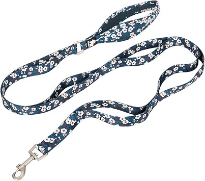 TRUE LOVE Floral Dog Leash with Multi Handles Durable Chain Rope Soft Neoprene Padded Training Control Pet Walking Lead for Small Dogs TLL3112Saxony Blue,L