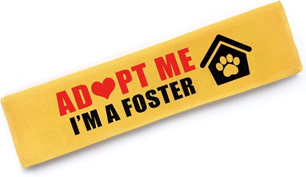 Adopt Me Im A Foster Dog Leash Sleeve, Funny Adopt Me Alert Wrap with Hanging ID Patch, Pet Leash Accessory, Pet Birthday Gift for Dog Owners