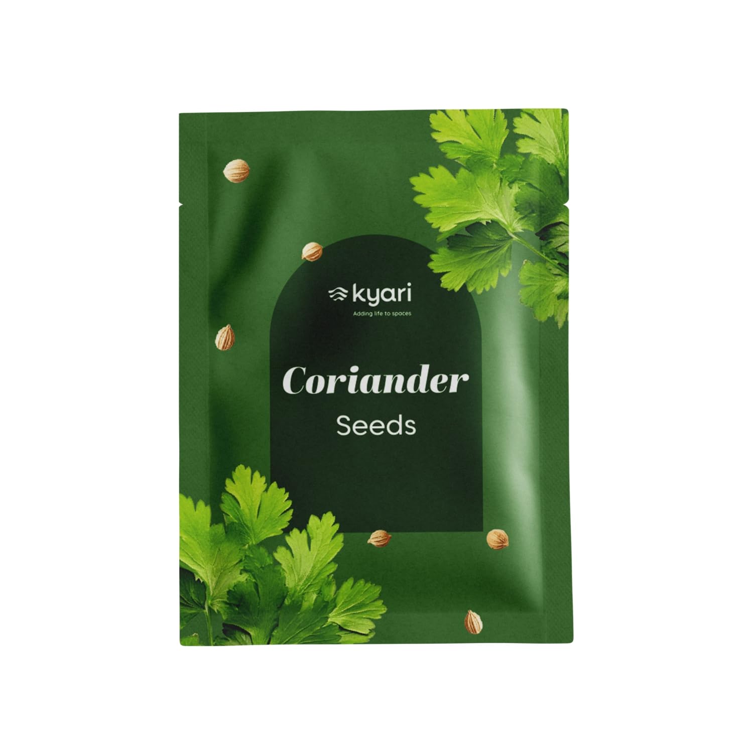 Kyari Coriander Dhaniya Seeds for Planting - High Germination Vegetable Seeds for Home Garden, Kitchen Garden, Balcony, Terrace, Grow Bag, Pot - Suitable for Indian Climate - Pack of 1-image-9