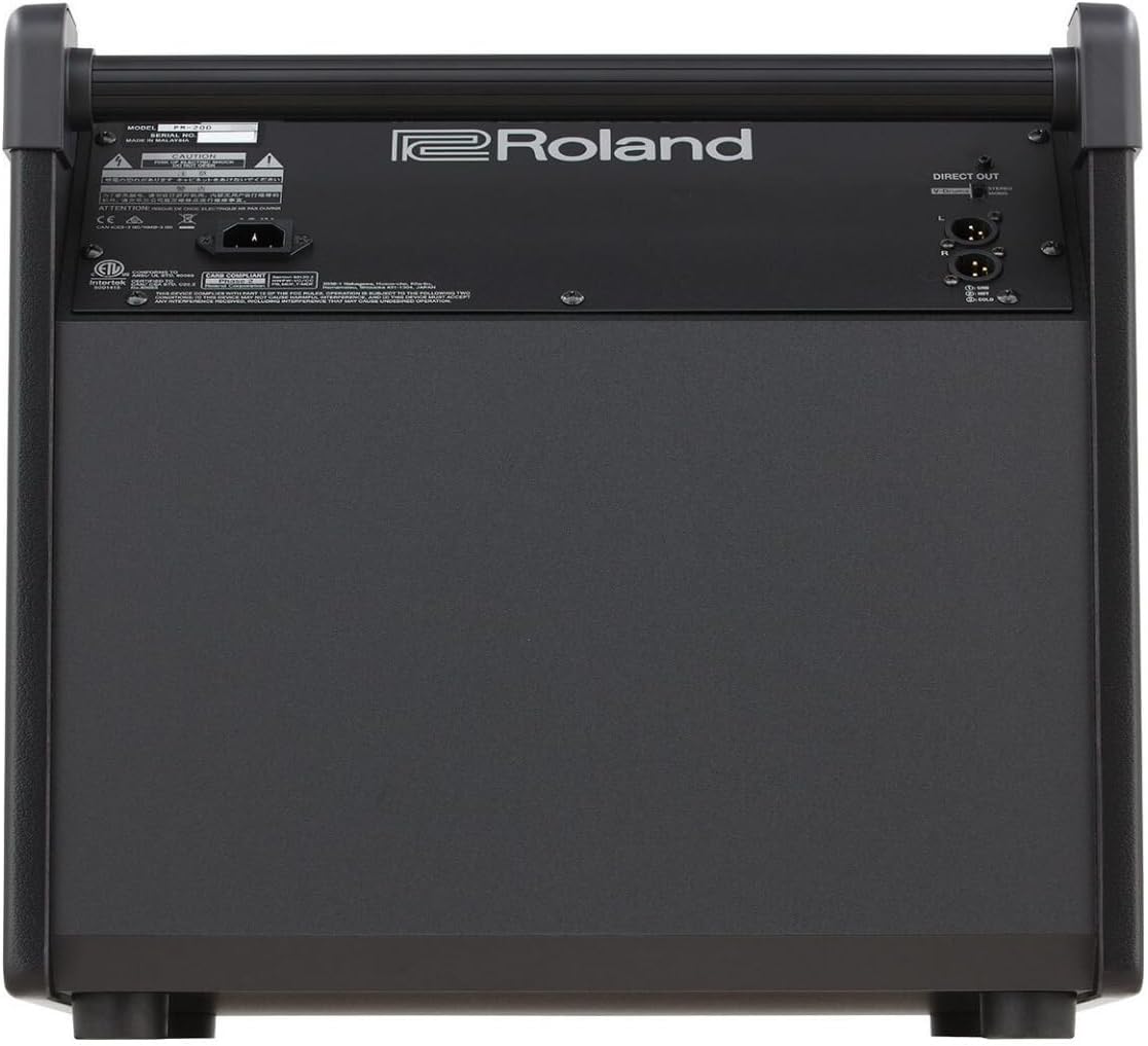 Rear panel of the Roland PM-200 monitor showing input and output jacks