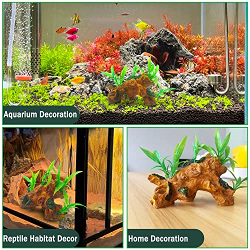 Bnosdm Aquarium Driftwood Decoration Natural Wood Branches Reptile Habitat Assorted Trunk Terrarium Ornament For Bearded Dragon Gecko Lizad Amphibian Fish Tank #TOP3