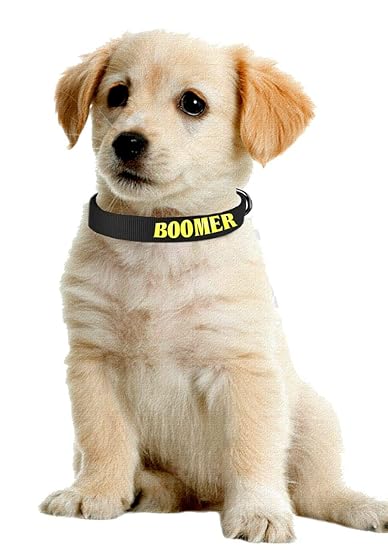Dog belt online Clearance
