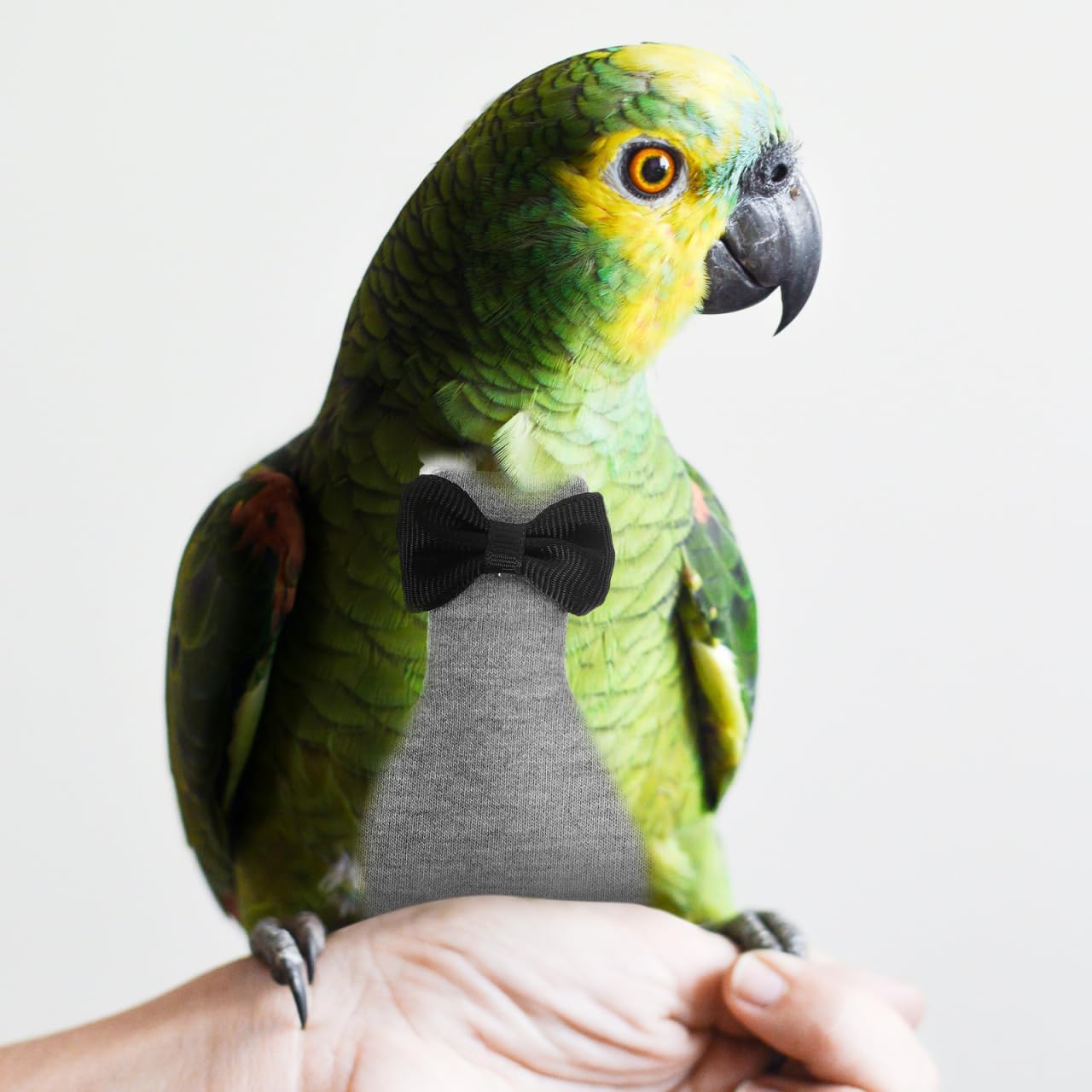 balacoo Washable Bird Diapers for Parrots 4Pcs Reusable Lightweight Flight Suit Liners Breathable Skin-Friendly Bird Costume for Macaw Parakeet Cockatoo