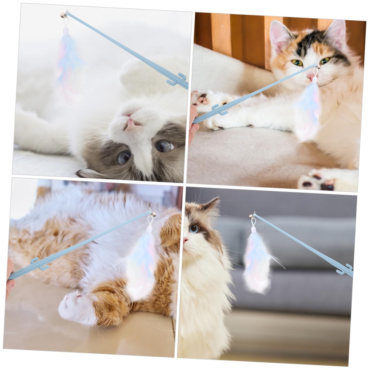 Mipcase 20pièces Canne Plumes pour Chats Jouet Interactif avec Poignée Cactus pour Chats Intérieur Et Extérieur