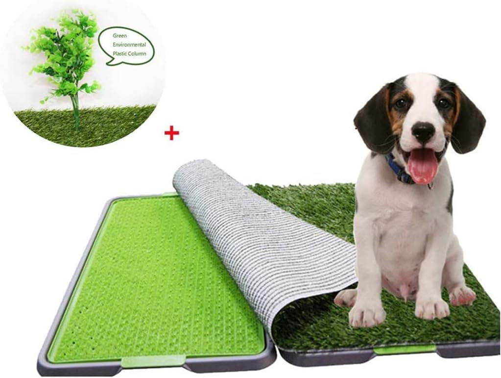 vasini per cani da cortile