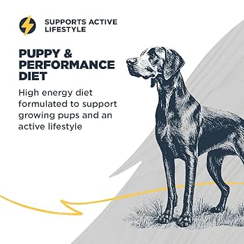 BLACKWOOD PUPPY & PERFORMANCE 真空パック5キロ2個 Amazon.com: Blackwood Puppy & Performance Dry Dog Food