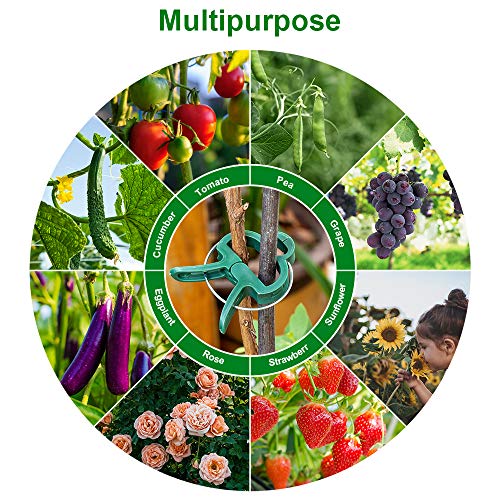 Monstake 40PCS Plant Support Clips for Gardening, Gentle Plant and Flower Clamps, Perfect Supporting Climbing Vines, Stalks, Stems Grow Upright Trellis Clip