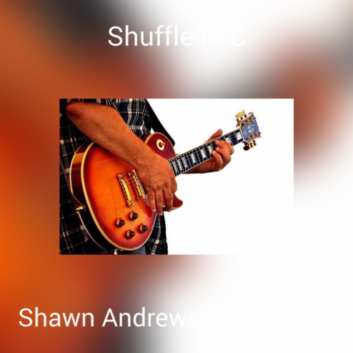 Shawn Andrews Blues Band