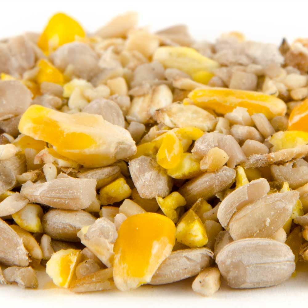 CJ Wildlife Vogelfutter Wildvögel ganzjährig 10kg – Wildvogelfutter – geschälte Samen ohne Schalen – Energiereiche Futtermischung für Wildvögel