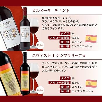 チリワインサンタ・イネス ‘’オーガニック‘’ ワイン 赤・白×12本セット チリワインサンタ・イネス ''オーガニック'' ワイン 赤・白×12本