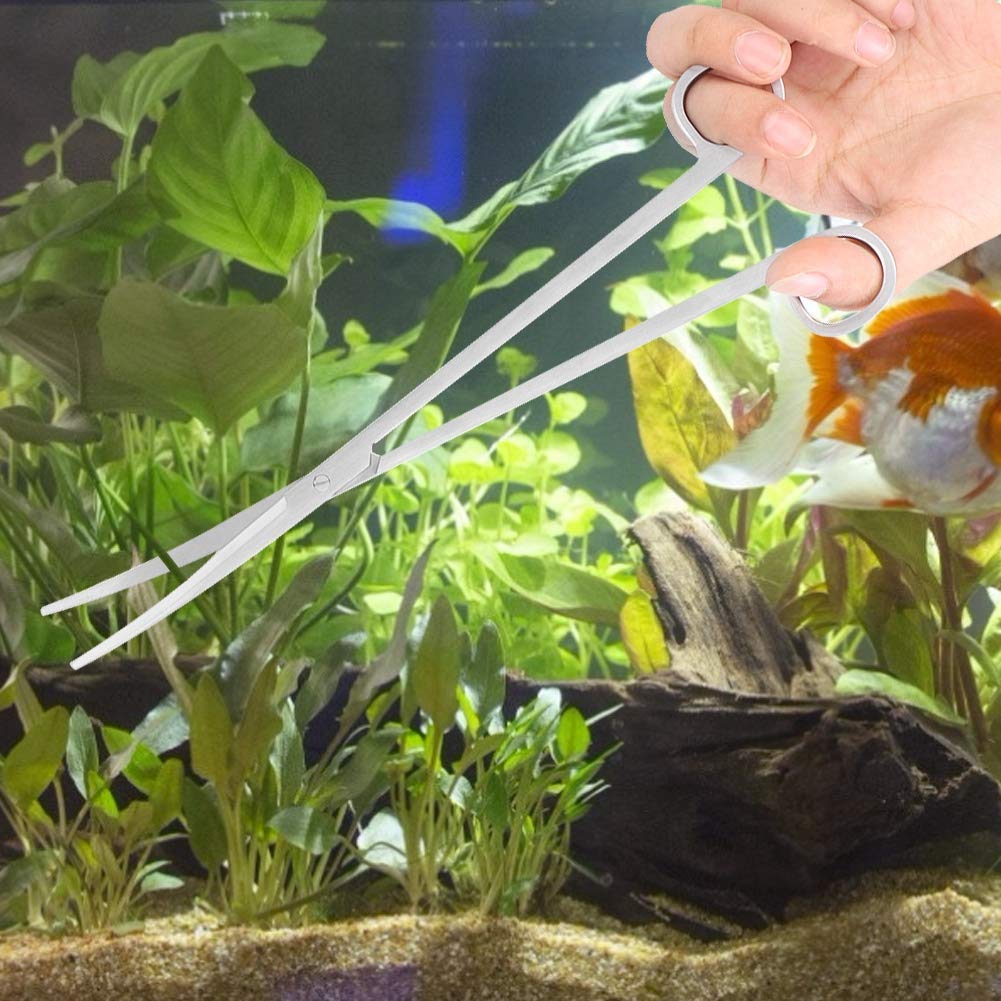 BESPORTBLE Aquarium Schere Edelstahl - Präzises Trimmen Von Wasserpflanzen