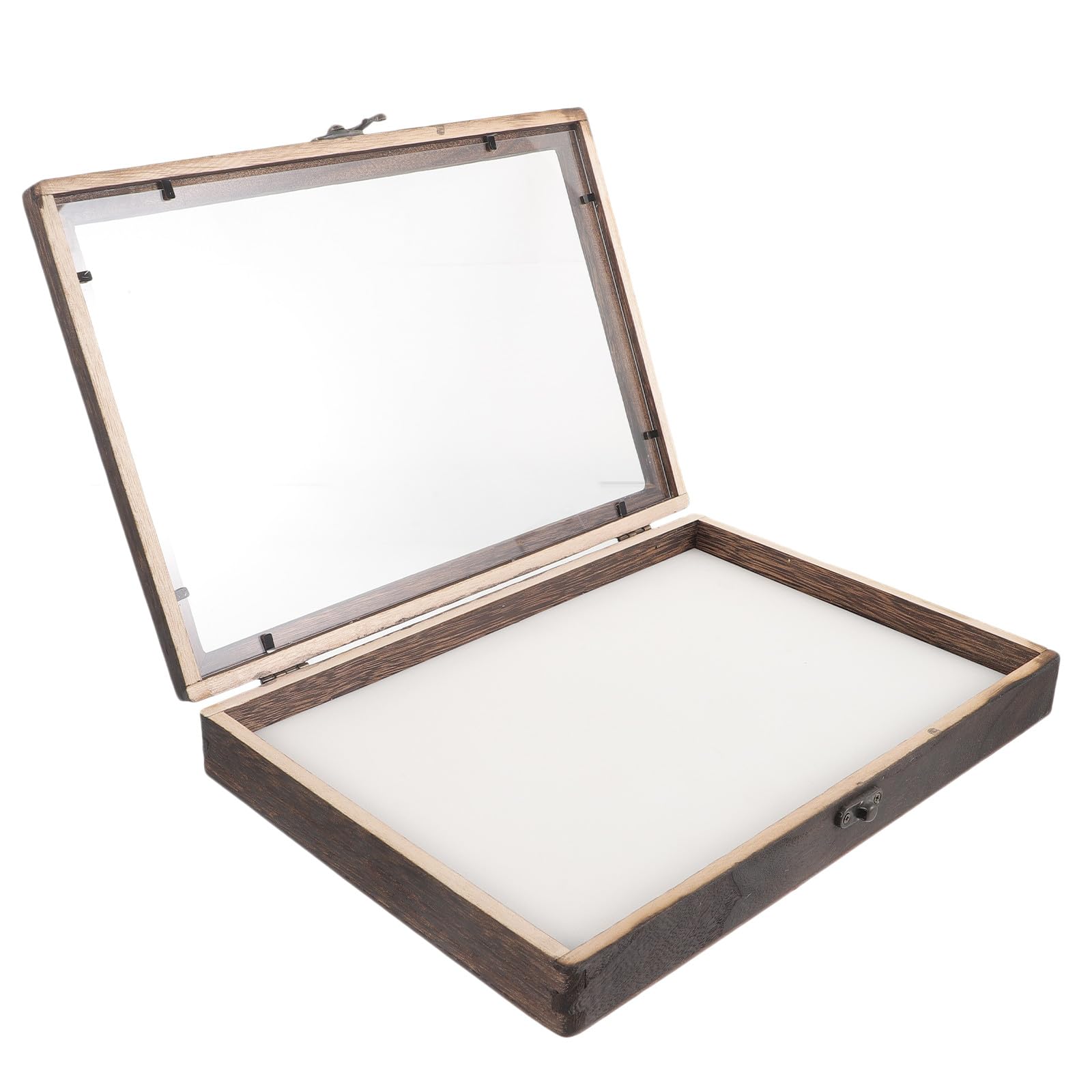 SEWACC Caja de Exhibición de Insectos Colgante de Madera Tapa Acrílica Transparente, Tamaño 31x22x4.5 Cm, Color Carbón, Almohadilla de Eva en Color Claro para Muestras, Estilo