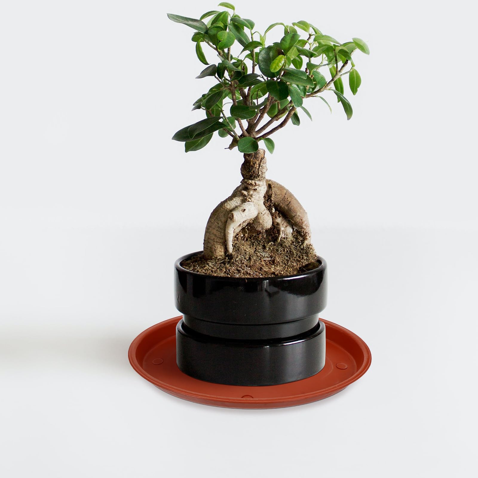 TOYANDONA Vassoi Ovali Base Resistente Previene Macchie d'Acqua e Fuoriuscite di Terra in Plastica Rossa Set 5 Pezzi per Vasi da Fiori per Piante da Interno ed Esterno