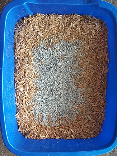 100% Natural Cedar Chips | Mulch | Great For Outdoors Or Indoor Potted Plants | Dog Bedding | Pleasant Earthy Smell (4 Quart) #TOP6