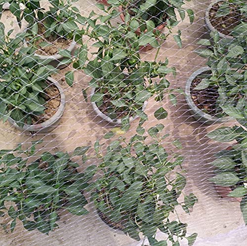 Red antipájaros resistente para jardín, 5 x 10 m, protege frutas, verduras y plantas de pájaros y roedores, red de enrejado para una protección eficaz de las plantas